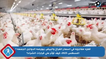 قفزة مفاجئة في أسعار الفراخ والبيض ببورصة الدواجن الجمعة 1 أغسطس 2025: كيف تؤثر على قرارات الشراء؟